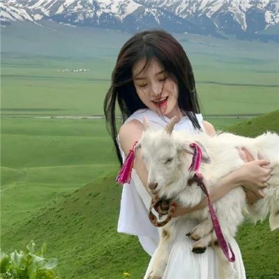 今天少主不在家